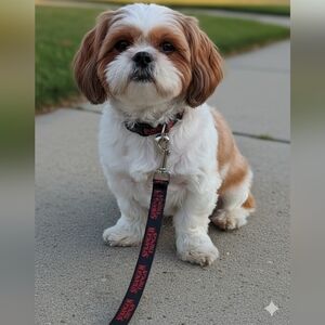 Netflix NWT Stranger Things Red/Black 6ft Dog Lead/Leash For Dogs Up To 20lbs